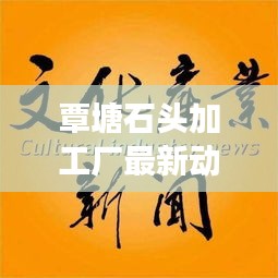 覃塘石頭加工廠最新動(dòng)態(tài)，揭秘新聞?lì)^條背后的故事