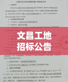 文昌工地招標公告查詢最新：文昌建筑工程公司 