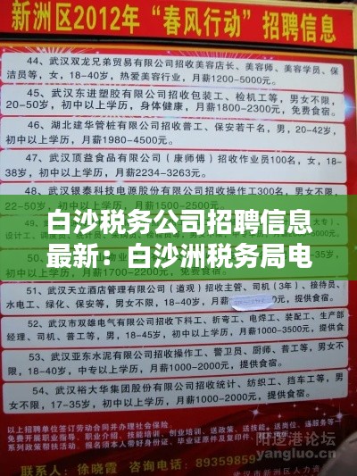 白沙稅務(wù)公司招聘信息最新：白沙洲稅務(wù)局電話 