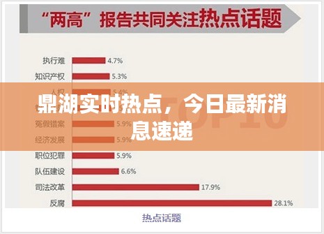 鼎湖實時熱點，今日最新消息速遞