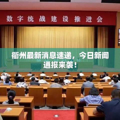 衢州最新消息速遞，今日新聞通報(bào)來(lái)襲！