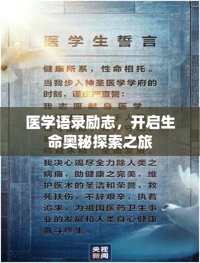 醫(yī)學(xué)語(yǔ)錄勵(lì)志，開(kāi)啟生命奧秘探索之旅