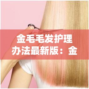 金毛毛發(fā)護理辦法最新版：金毛毛發(fā)修剪造型圖 