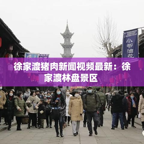 徐家渡豬肉新聞視頻最新：徐家渡林盤(pán)景區(qū) 