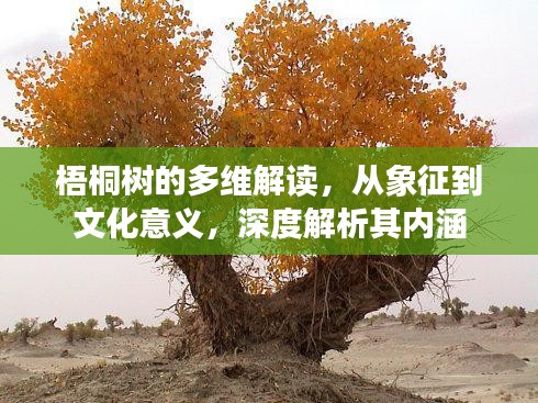 梧桐樹的多維解讀，從象征到文化意義，深度解析其內(nèi)涵