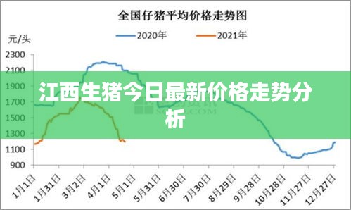 江西生豬今日最新價格走勢分析