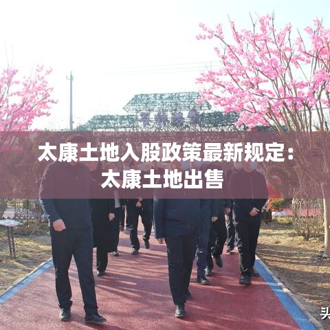 太康土地入股政策最新規(guī)定：太康土地出售 