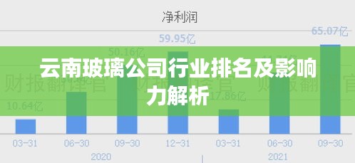 云南玻璃公司行業(yè)排名及影響力解析