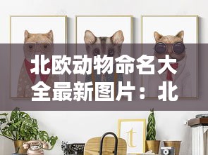 北歐動(dòng)物命名大全最新圖片：北歐小動(dòng)物 