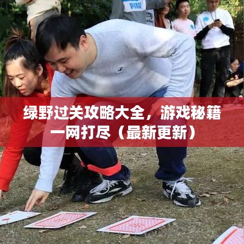 綠野過關(guān)攻略大全，游戲秘籍一網(wǎng)打盡（最新更新）