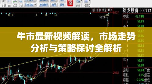 牛市最新視頻解讀，市場走勢分析與策略探討全解析