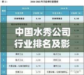 中國水秀公司行業(yè)排名及影響力解析
