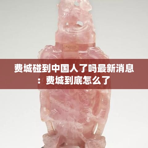 費城碰到中國人了嗎最新消息：費城到底怎么了 