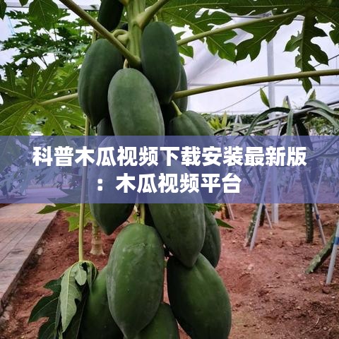 科普木瓜視頻下載安裝最新版：木瓜視頻平臺 