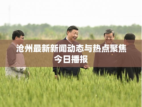 滄州最新新聞動(dòng)態(tài)與熱點(diǎn)聚焦今日播報(bào)