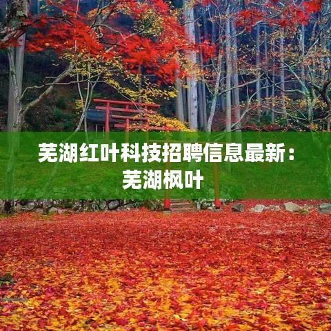 蕪湖紅葉科技招聘信息最新：蕪湖楓葉 