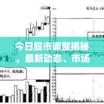 今日股市調(diào)整揭秘，最新動態(tài)、市場走勢分析與未來展望