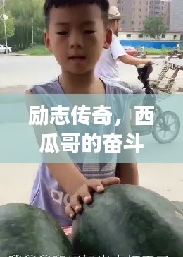 勵(lì)志傳奇，西瓜哥的奮斗故事！