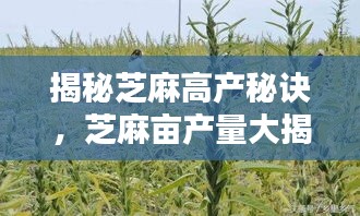 不恥下問 第2頁