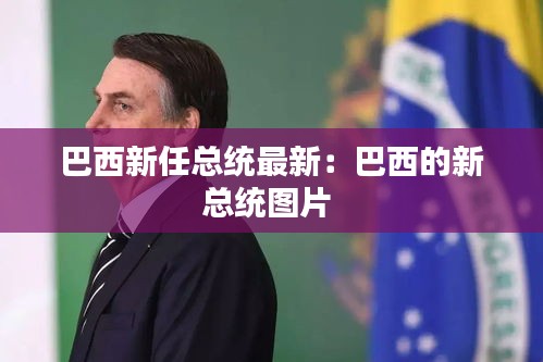巴西新任總統(tǒng)最新：巴西的新總統(tǒng)圖片 