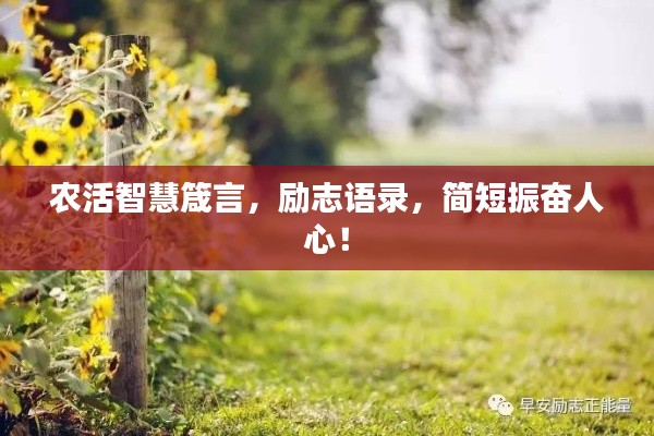 農(nóng)活智慧箴言，勵(lì)志語錄，簡(jiǎn)短振奮人心！