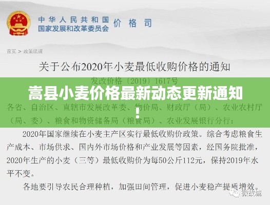 舉步如飛 第3頁(yè)