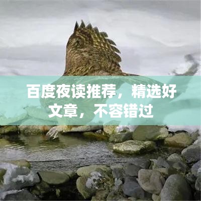 百度夜讀推薦，精選好文章，不容錯(cuò)過