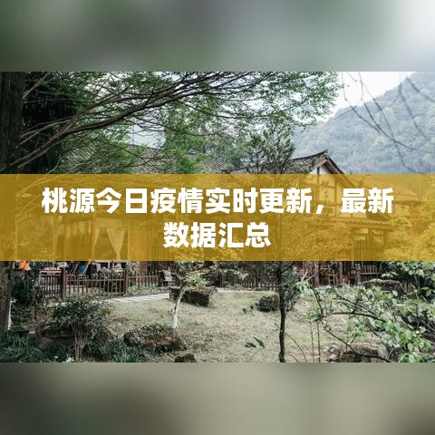 桃源今日疫情實(shí)時(shí)更新，最新數(shù)據(jù)匯總