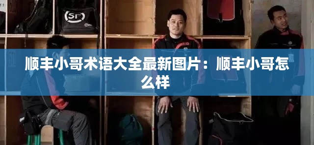 順豐小哥術(shù)語(yǔ)大全最新圖片：順豐小哥怎么樣 