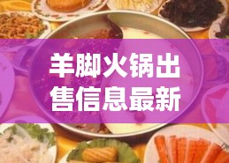 羊腳火鍋出售信息最新：羊腳批發(fā) 