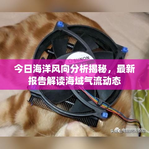 今日海洋風(fēng)向分析揭秘，最新報(bào)告解讀海域氣流動(dòng)態(tài)