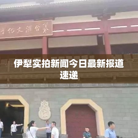 伊犁實拍新聞今日最新報道速遞