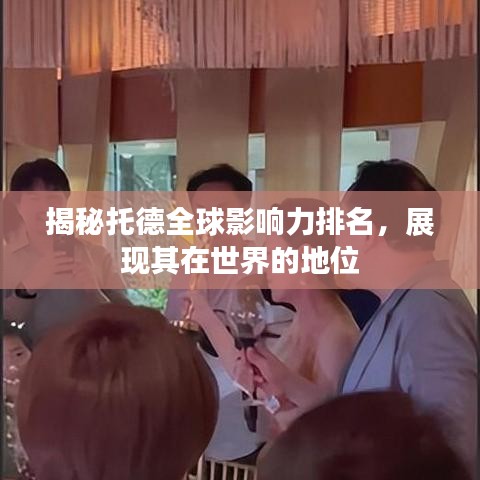 揭秘托德全球影響力排名，展現(xiàn)其在世界的地位