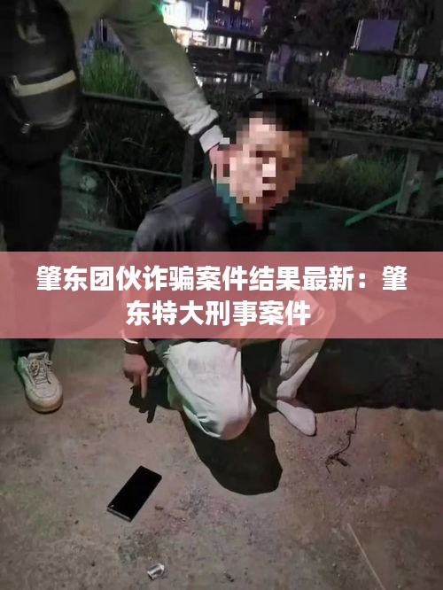 肇東團伙詐騙案件結(jié)果最新：肇東特大刑事案件 