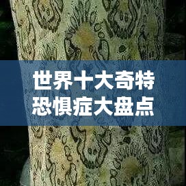 世界十大奇特恐懼癥大盤(pán)點(diǎn)，你中了幾個(gè)？
