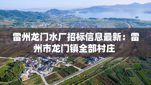 雷州龍門水廠招標信息最新：雷州市龍門鎮(zhèn)全部村莊 