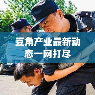 豆角產(chǎn)業(yè)最新動態(tài)一網(wǎng)打盡