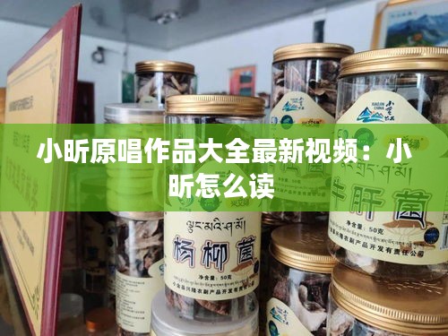 小昕原唱作品大全最新視頻：小昕怎么讀 