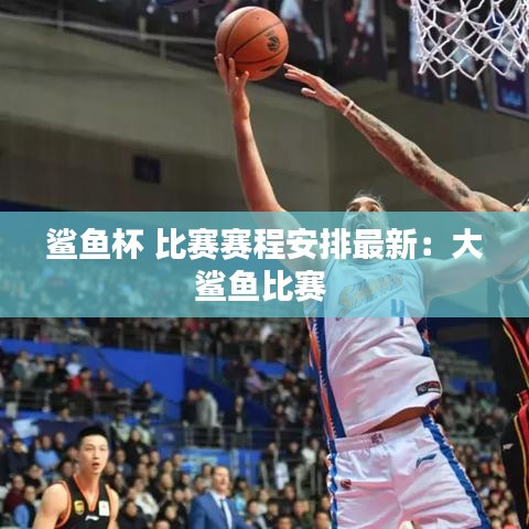 鯊魚杯 比賽賽程安排最新：大鯊魚比賽 
