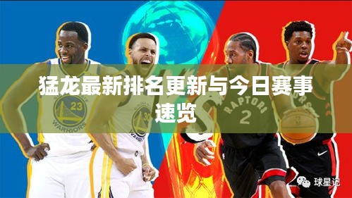 猛龍最新排名更新與今日賽事速覽
