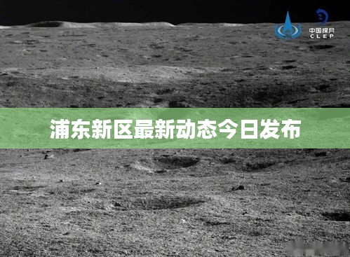 浦東新區(qū)最新動(dòng)態(tài)今日發(fā)布