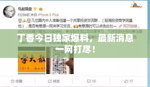 丁香今日獨家爆料，最新消息一網(wǎng)打盡！