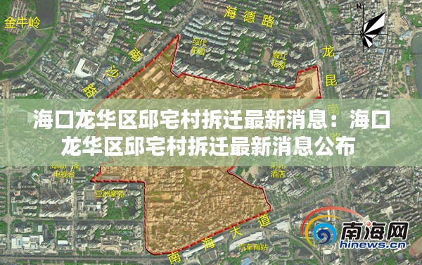 獨(dú)出新裁 第3頁