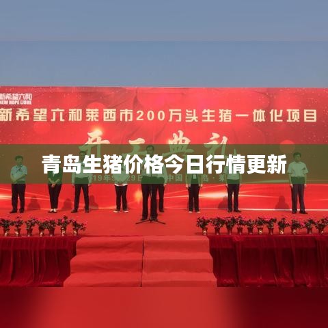 青島生豬價(jià)格今日行情更新