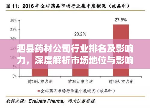 泗縣藥材公司行業(yè)排名及影響力，深度解析市場地位與影響力