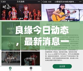 良緣今日動(dòng)態(tài)，最新消息一網(wǎng)打盡！