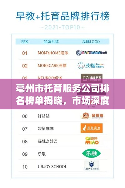 亳州市托育服務(wù)公司排名榜單揭曉，市場(chǎng)深度解析！
