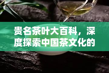 貴名茶葉大百科，深度探索中國茶文化的魅力與廣度