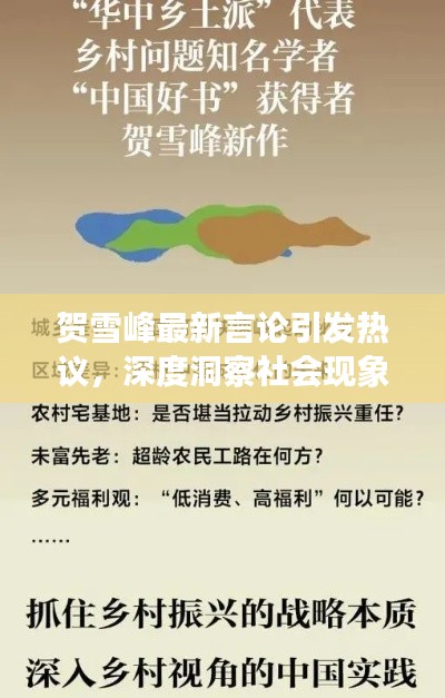 賀雪峰最新言論引發(fā)熱議，深度洞察社會(huì)現(xiàn)象！
