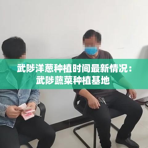 武陟洋蔥種植時(shí)間最新情況：武陟蔬菜種植基地 